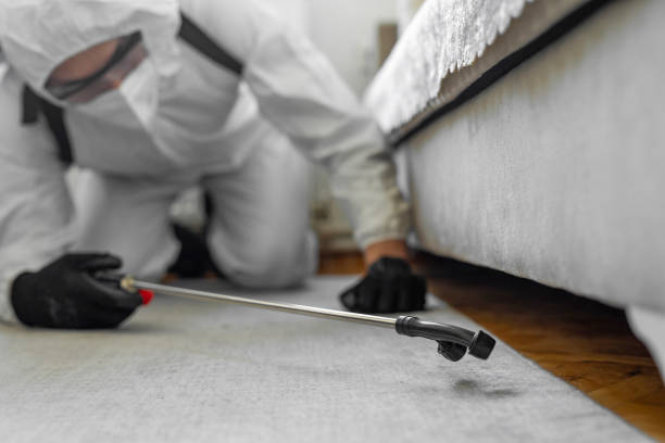 Professional Pest Control technician working in Gooding County County, ID